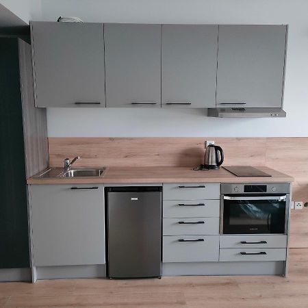 Sympozjum Loft Apartment Krakow Bagian luar foto