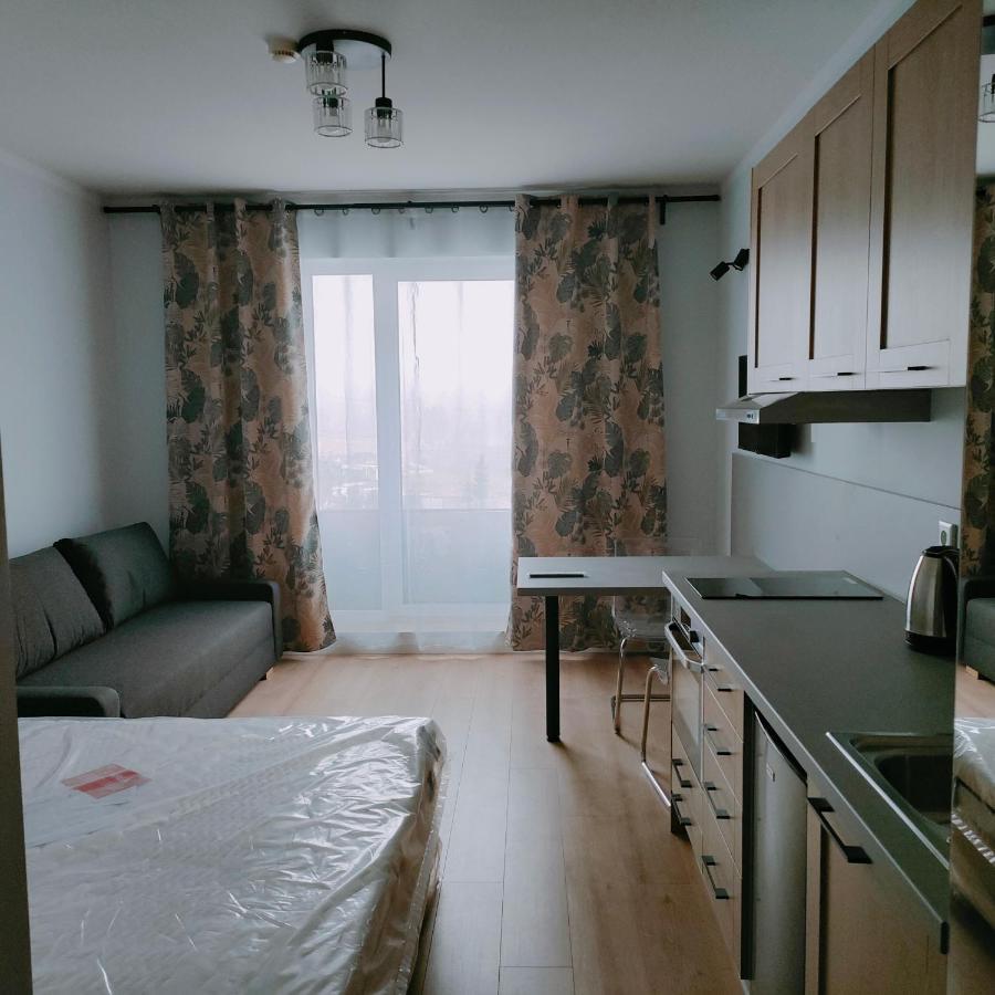 Sympozjum Loft Apartment Krakow Bagian luar foto