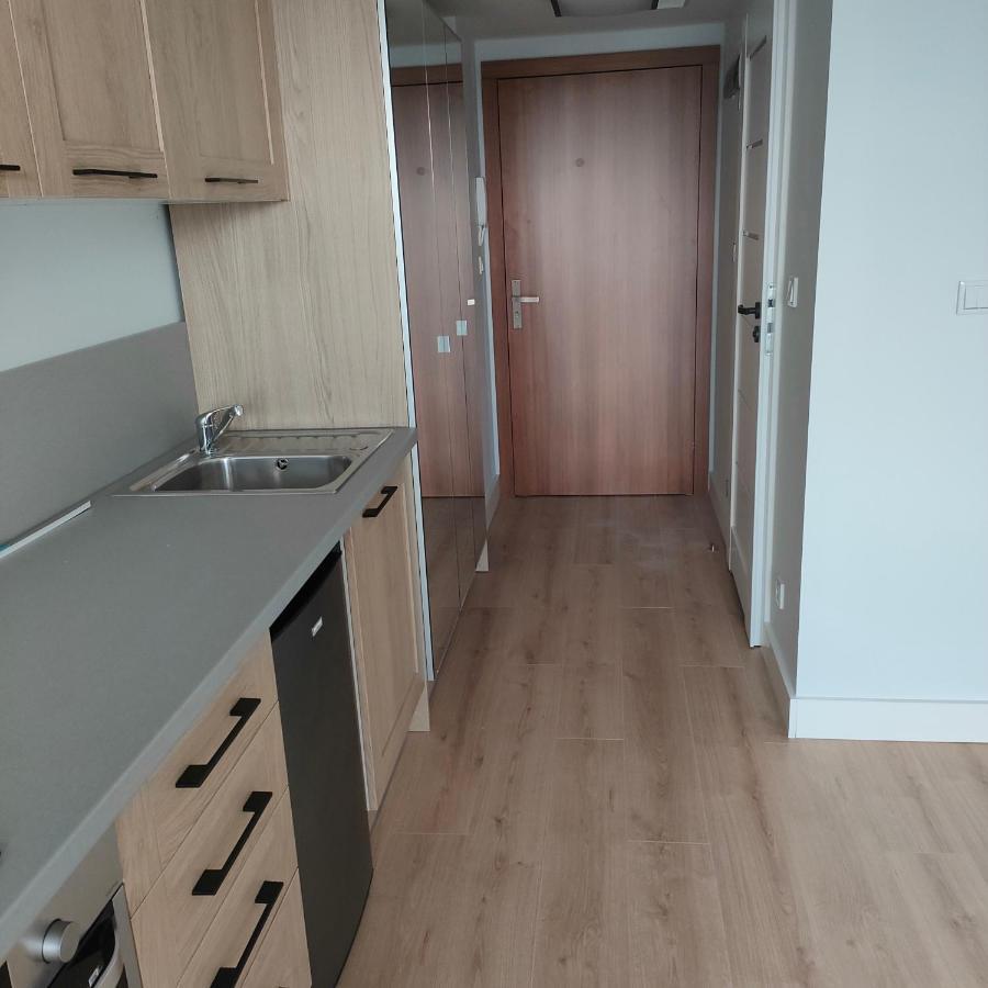 Sympozjum Loft Apartment Krakow Bagian luar foto